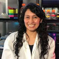 Photo Johana Coronel