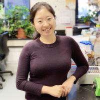 Image of Xiaokan Zhang